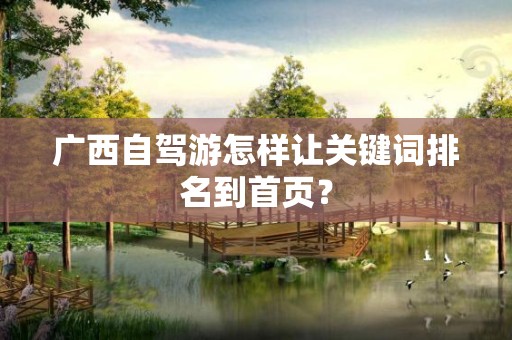 广西自驾游怎样让关键词排名到首页？