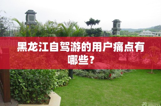 黑龙江自驾游的用户痛点有哪些？