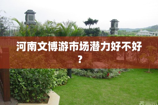 河南文博游市场潜力好不好？