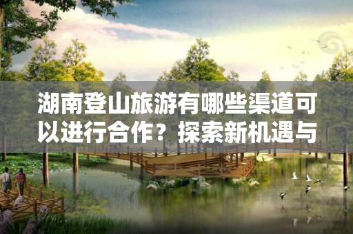 湖南登山旅游有哪些渠道可以进行合作？探索新机遇与发展潜力