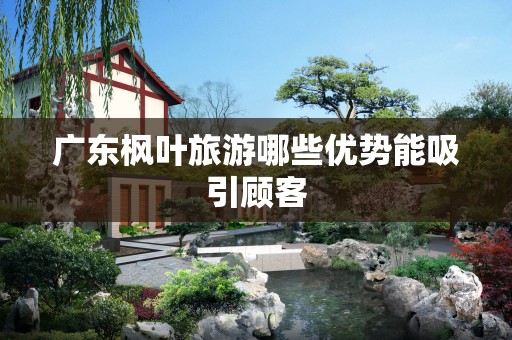 广东枫叶旅游哪些优势能吸引顾客