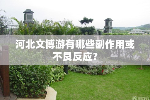 河北文博游有哪些副作用或不良反应？
