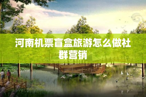 河南机票盲盒旅游怎么做社群营销