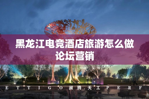 黑龙江电竞酒店旅游怎么做论坛营销