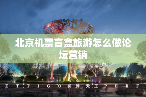 北京机票盲盒旅游怎么做论坛营销