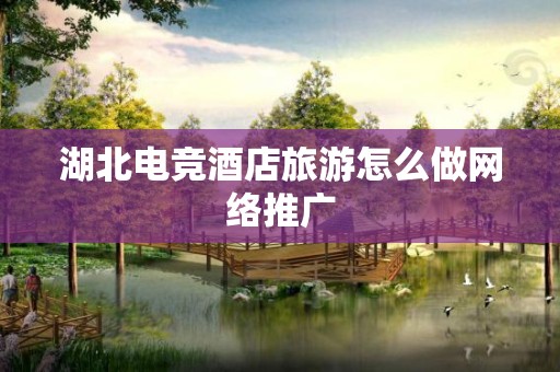 湖北电竞酒店旅游怎么做网络推广