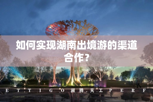 如何实现湖南出境游的渠道合作？