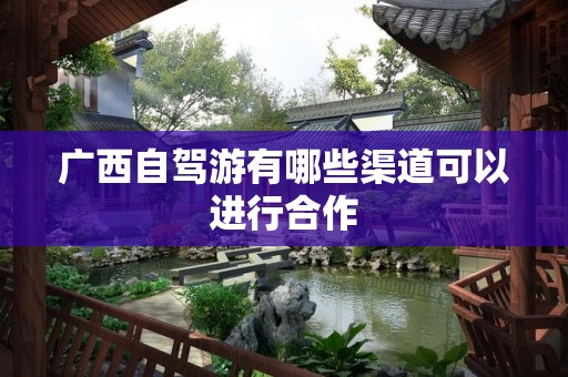 广西自驾游有哪些渠道可以进行合作