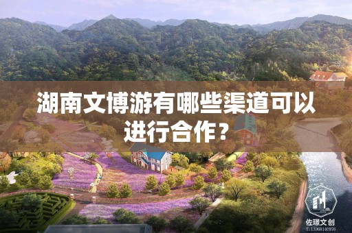 湖南文博游有哪些渠道可以进行合作？