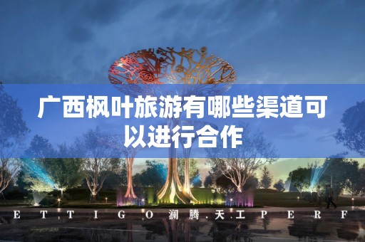 广西枫叶旅游有哪些渠道可以进行合作