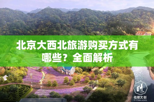 北京大西北旅游购买方式有哪些？全面解析