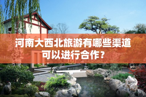 河南大西北旅游有哪些渠道可以进行合作？