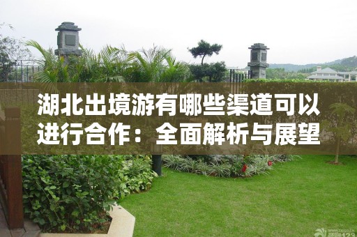 湖北出境游有哪些渠道可以进行合作：全面解析与展望