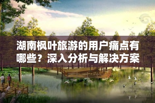 湖南枫叶旅游的用户痛点有哪些？深入分析与解决方案