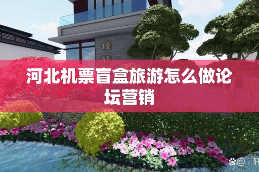 河北机票盲盒旅游怎么做论坛营销