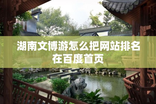 湖南文博游怎么把网站排名在百度首页