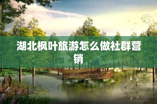 湖北枫叶旅游怎么做社群营销