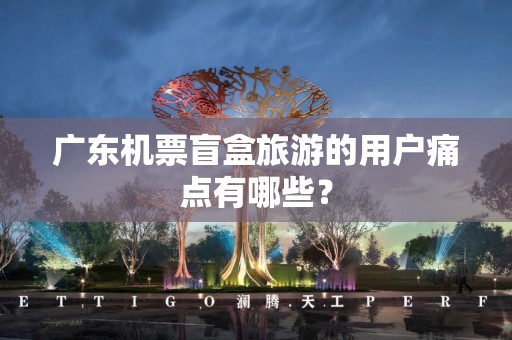 广东机票盲盒旅游的用户痛点有哪些？