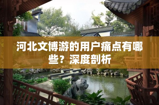 河北文博游的用户痛点有哪些？深度剖析