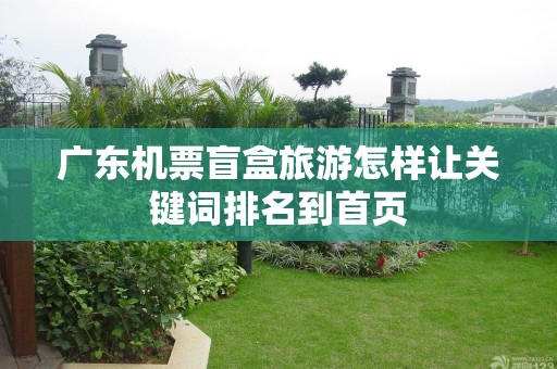 广东机票盲盒旅游怎样让关键词排名到首页