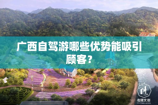 广西自驾游哪些优势能吸引顾客？