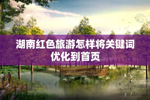 湖南红色旅游怎样将关键词优化到首页