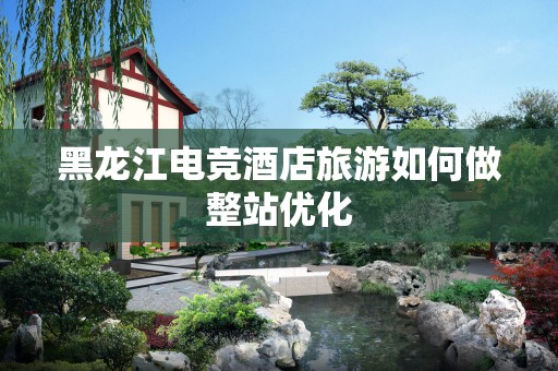黑龙江电竞酒店旅游如何做整站优化