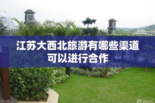 江苏大西北旅游有哪些渠道可以进行合作