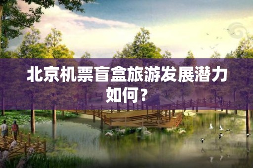 北京机票盲盒旅游发展潜力如何？