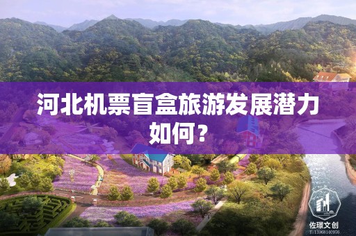 河北机票盲盒旅游发展潜力如何？