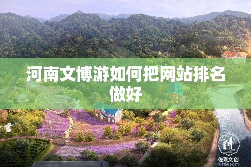 河南文博游如何把网站排名做好