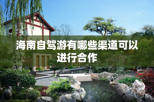 海南自驾游有哪些渠道可以进行合作