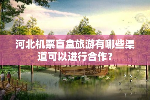 河北机票盲盒旅游有哪些渠道可以进行合作？