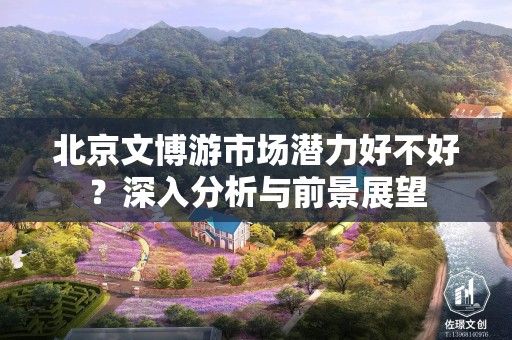 北京文博游市场潜力好不好？深入分析与前景展望