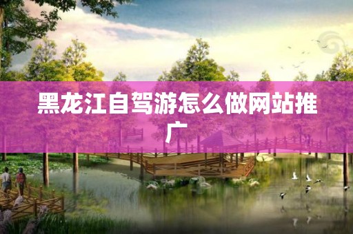 黑龙江自驾游怎么做网站推广
