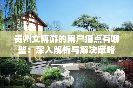 贵州文博游的用户痛点有哪些：深入解析与解决策略