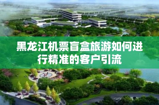 黑龙江机票盲盒旅游如何进行精准的客户引流