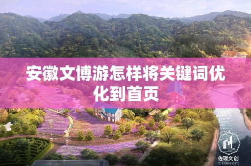 安徽文博游怎样将关键词优化到首页