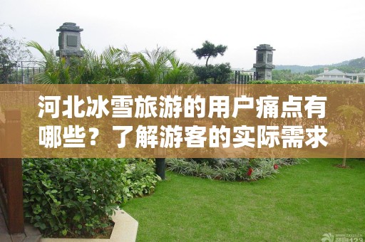 河北冰雪旅游的用户痛点有哪些？了解游客的实际需求