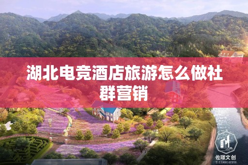 湖北电竞酒店旅游怎么做社群营销