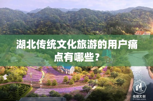 湖北传统文化旅游的用户痛点有哪些？