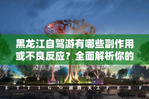 黑龙江自驾游有哪些副作用或不良反应？全面解析你的自驾旅行体验
