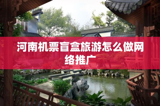 河南机票盲盒旅游怎么做网络推广