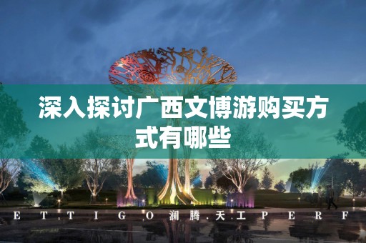 深入探讨广西文博游购买方式有哪些