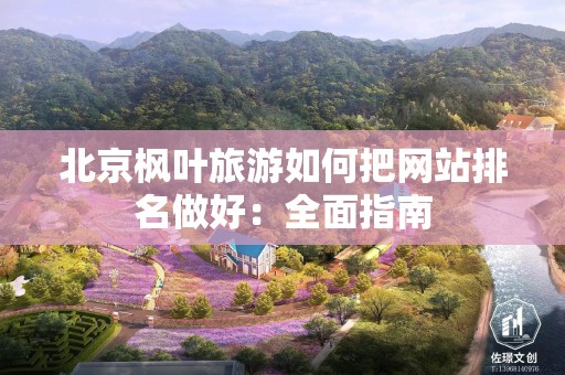 北京枫叶旅游如何把网站排名做好：全面指南