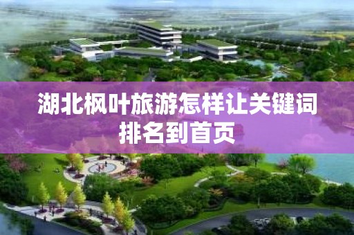 湖北枫叶旅游怎样让关键词排名到首页
