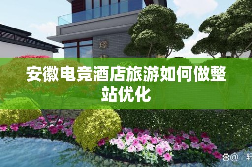 安徽电竞酒店旅游如何做整站优化