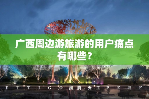 广西周边游旅游的用户痛点有哪些？
