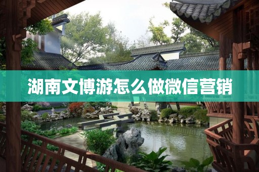 湖南文博游怎么做微信营销