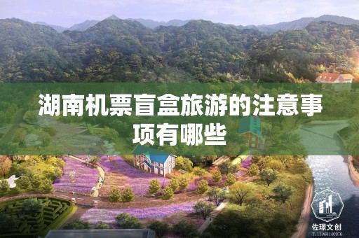 湖南机票盲盒旅游的注意事项有哪些